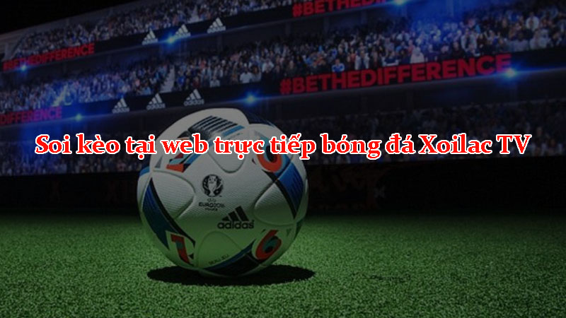 Tác giả soi kèo tại web trực tiếp bóng đá Xoilac TV