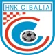 Logo HNK Cibalia